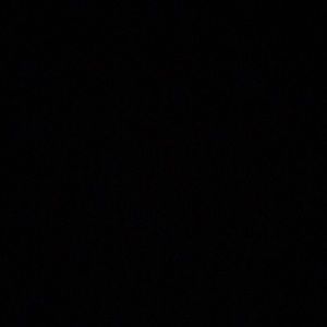 Meet your Posher, Lexi